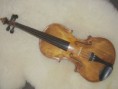 Husle replika Stradivari
